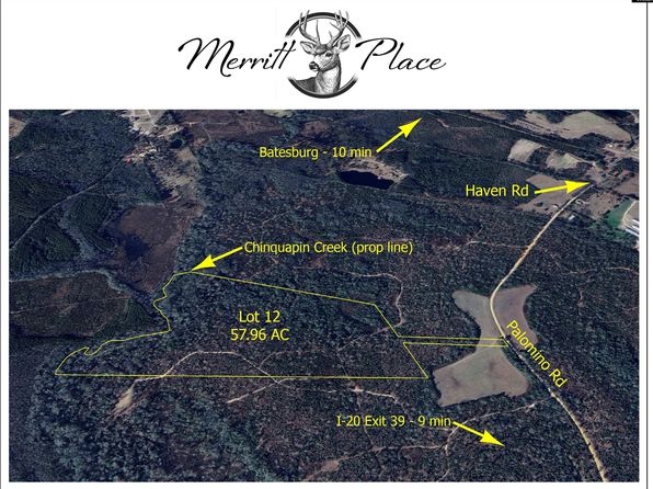 0 Palomino Rd LOT 12, Leesville, SC 29070