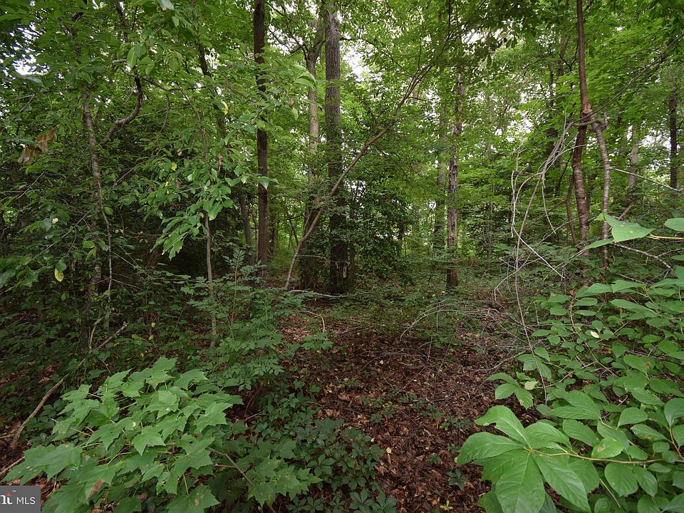 2nd image of 6 Pondside Acres