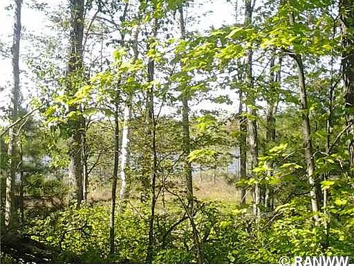 1st image of 0 N Bass Lake Lane