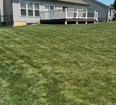 4th image of 106 Crystal Creek Ct