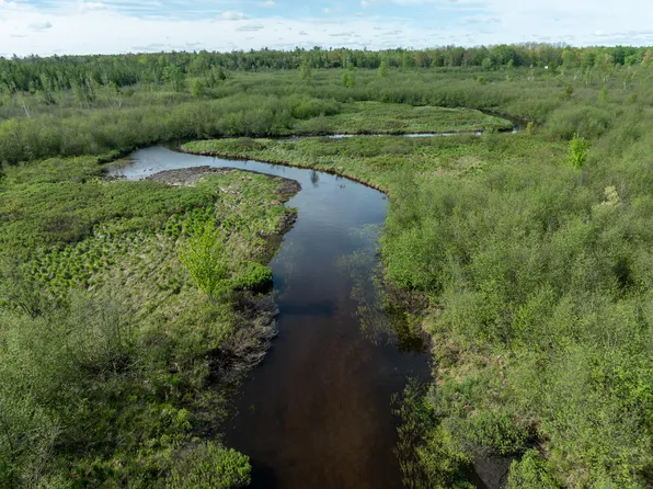 V/l 3 Mile Rd, Sears, MI 49679