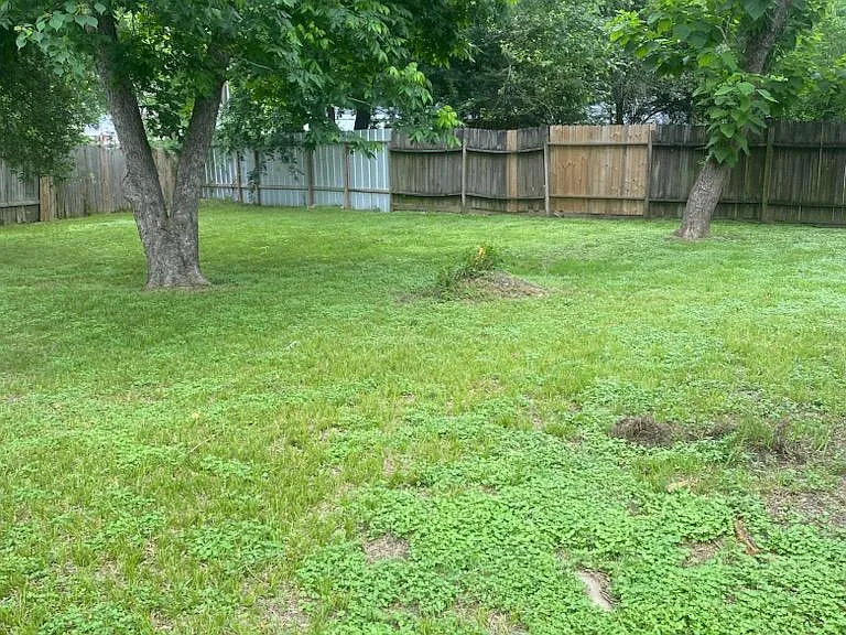 9846 Gillman St — Photo 13