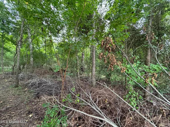 Woodbridge Dr Lot 9, Madison, MS 39110