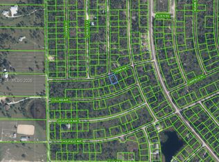 Leisure Lakes S, Lake Placid, FL 33852