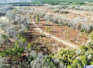 0 Thistledown Ln, Cheraw, SC 29520