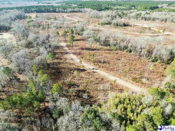 0 Thistledown Ln, Cheraw, SC 29520