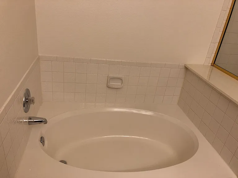 Master bath - Roman tub