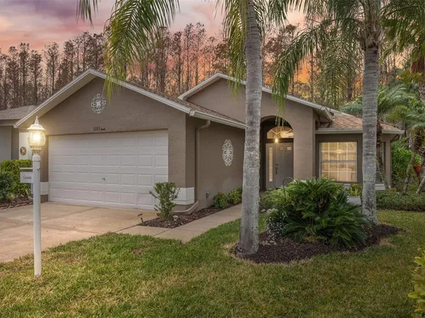 1103 SWEET JASMINE DRIVE, TRINITY, FL 34655