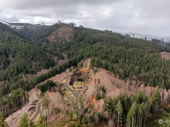 700 Bunker Road, Pe Ell, WA 98572
