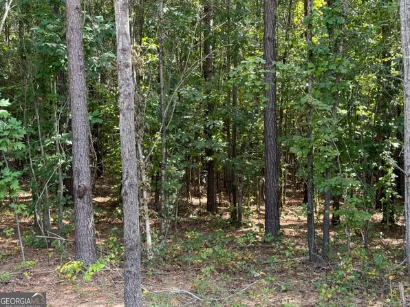 0 Lone Bear Path, Dallas, GA 30132