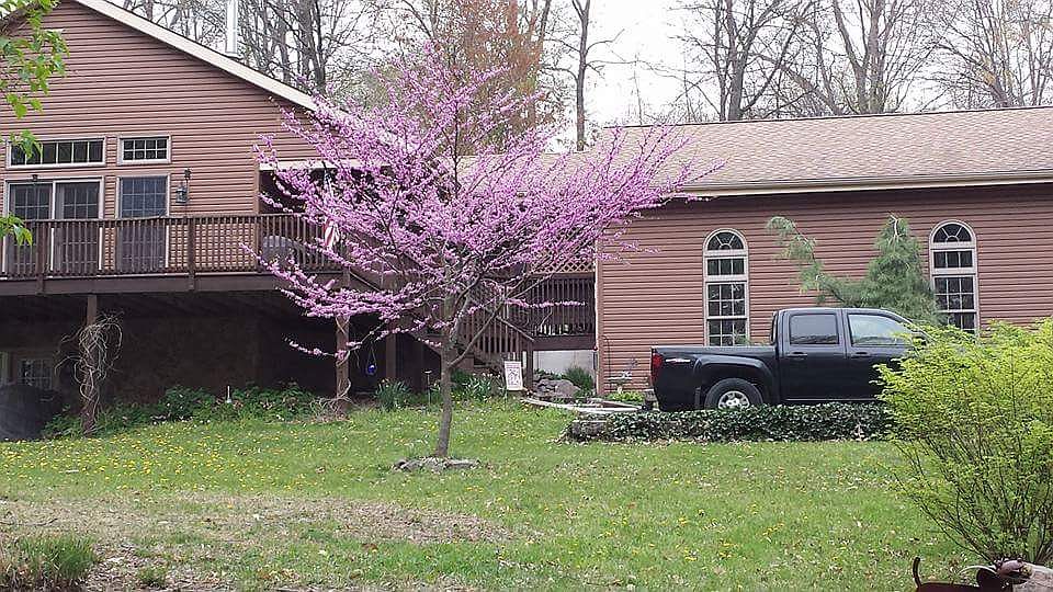 2nd image of 33 Berry Ln