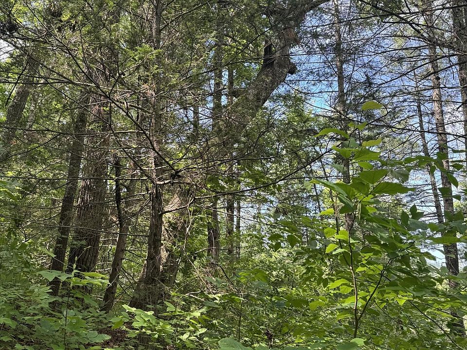 1st image of 0 Tall Pines Way #4