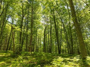 00-V/L N Frank Smith Rd, Luther, MI 49656