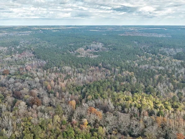0 N 171 Highway, Gibson, GA