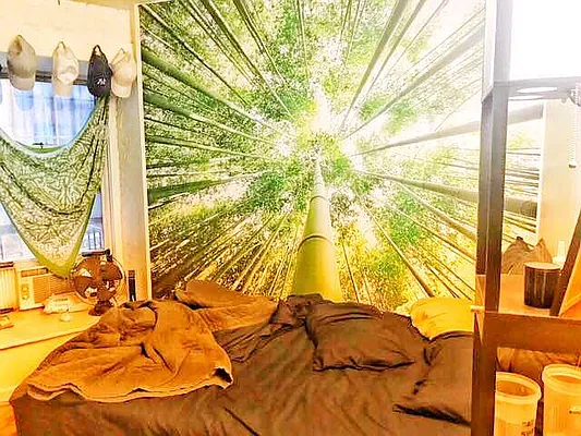 Rented by Friedman Roth Realty | media 7