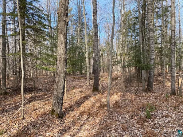 SOUTH 15 Acres McKinley Rd, Washburn, WI 54891