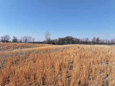 County Rd, Huntsville, MO, 65259