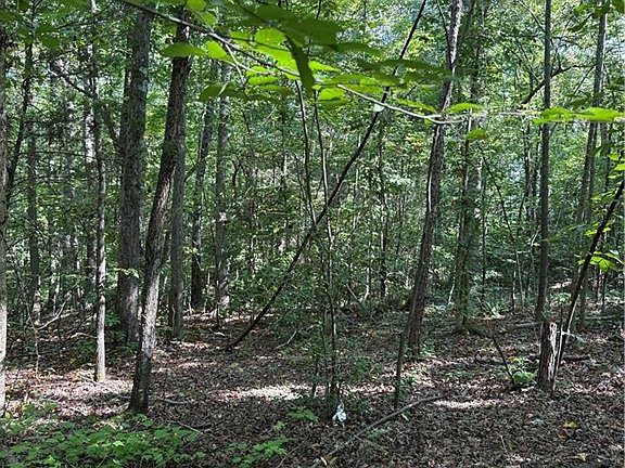 4th image of 5102 Waynick Meadow Rd