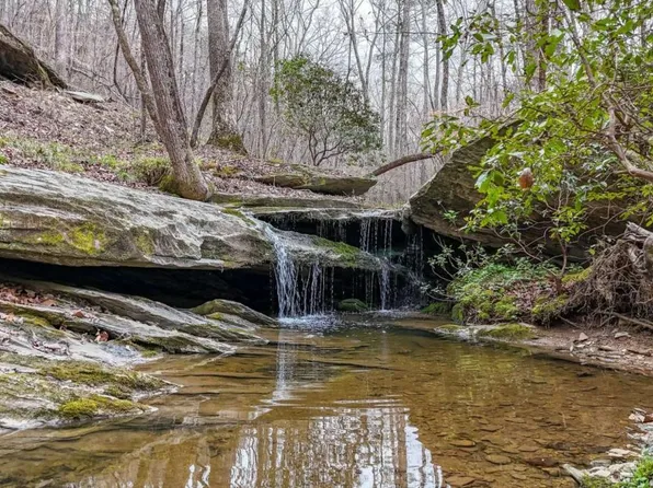 0 Felton Rockmart Rd, Buchanan, GA 30113