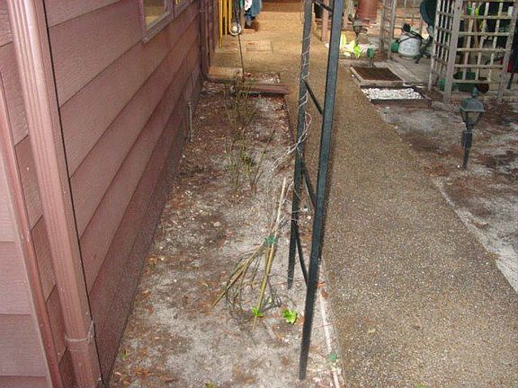 3rd image of 504 Timberlane Ct