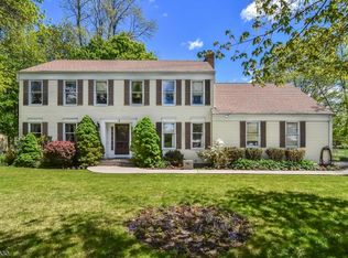 2 Ironia Rd, Flanders, NJ 07836