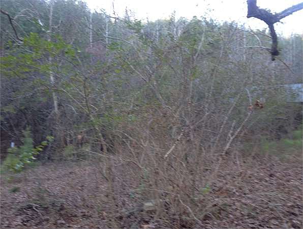 2nd image of 546 Hidden Valley Rd