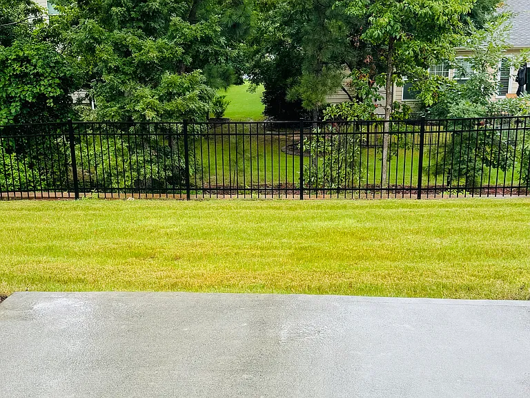 Backyard Area