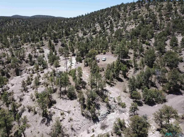 LOT-25A Poverty Creek Pines Rd, Winston, NM 87943