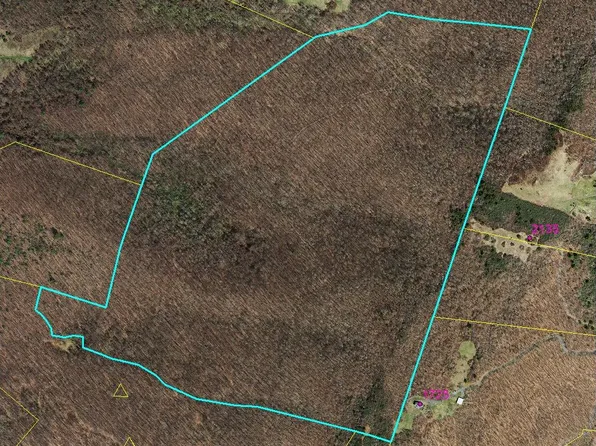 Xx McGraw Gap Rd, Hot Springs, VA 24445