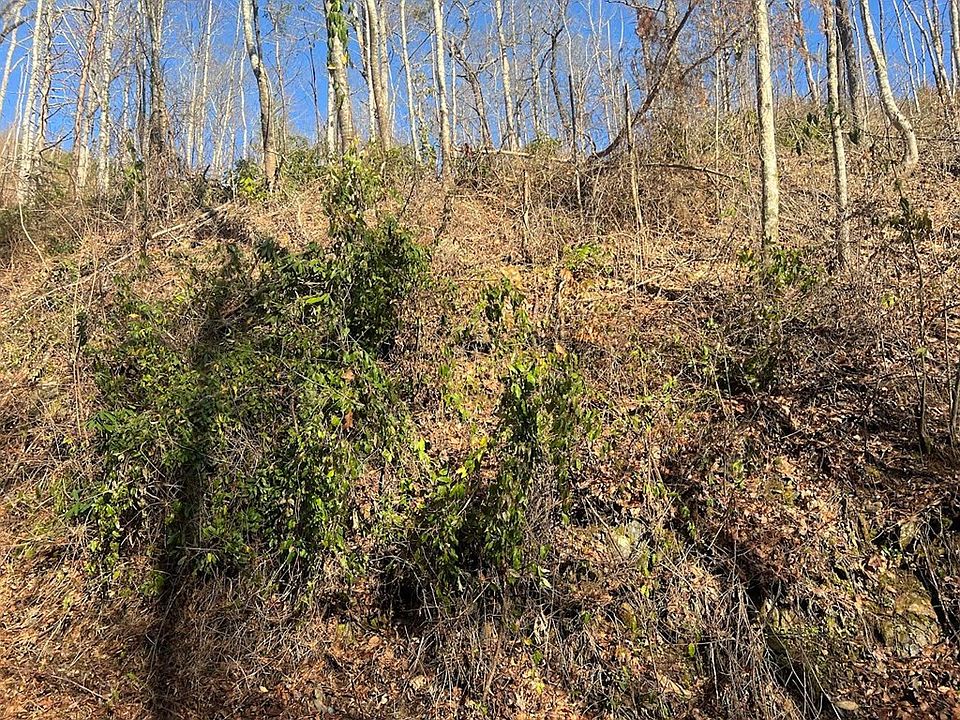 2nd image of 528 Deep Hollow Rd Lot 528