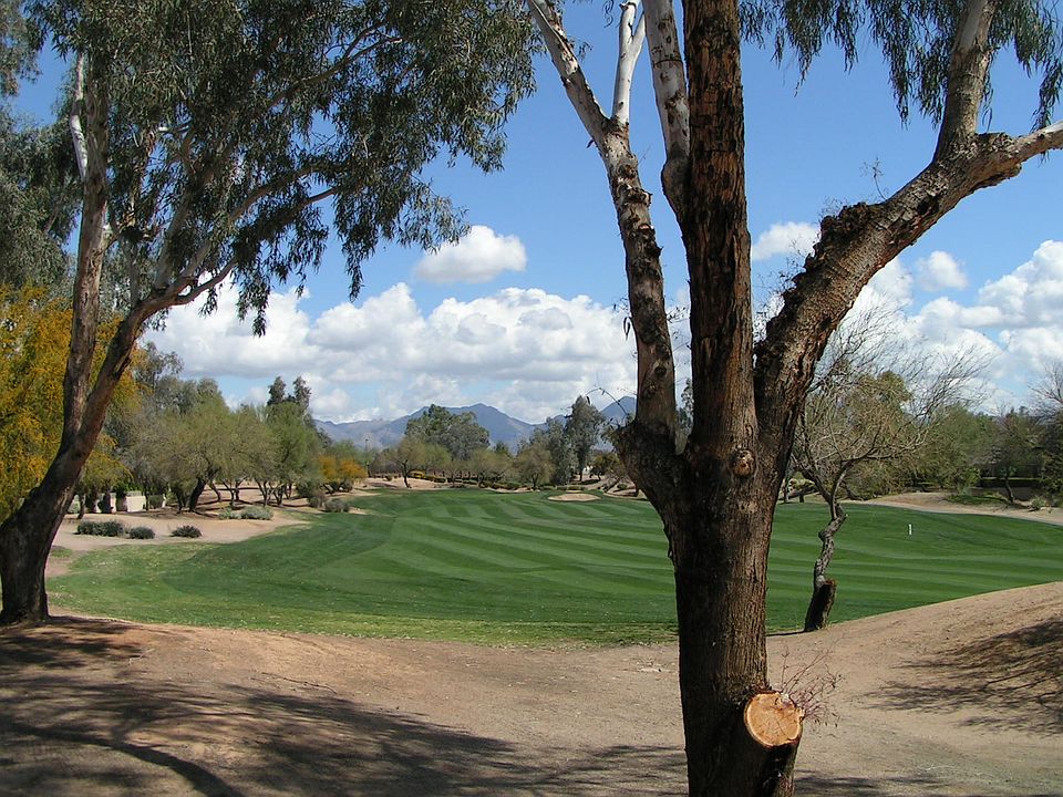 Golf & Mountain Views from Backyard