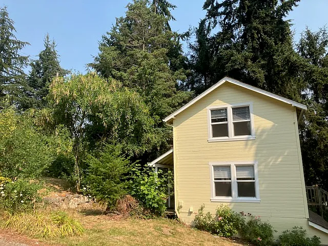 Rosebushes on side of house!
