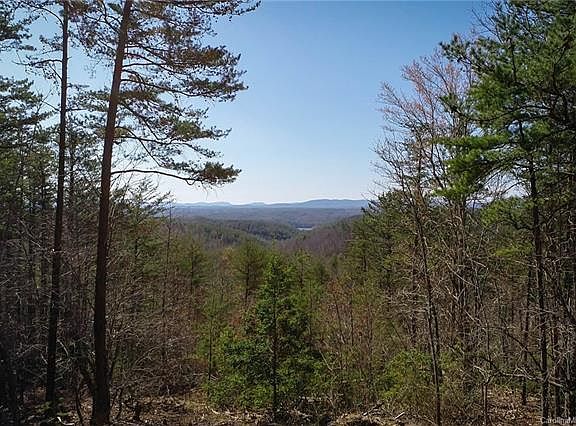 4th image of 0 Pisgah Preserve Dr