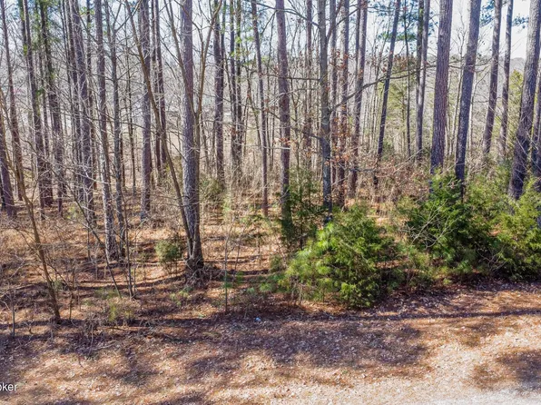 11 Marina Point Ln, Falls Of Rough, KY 40119