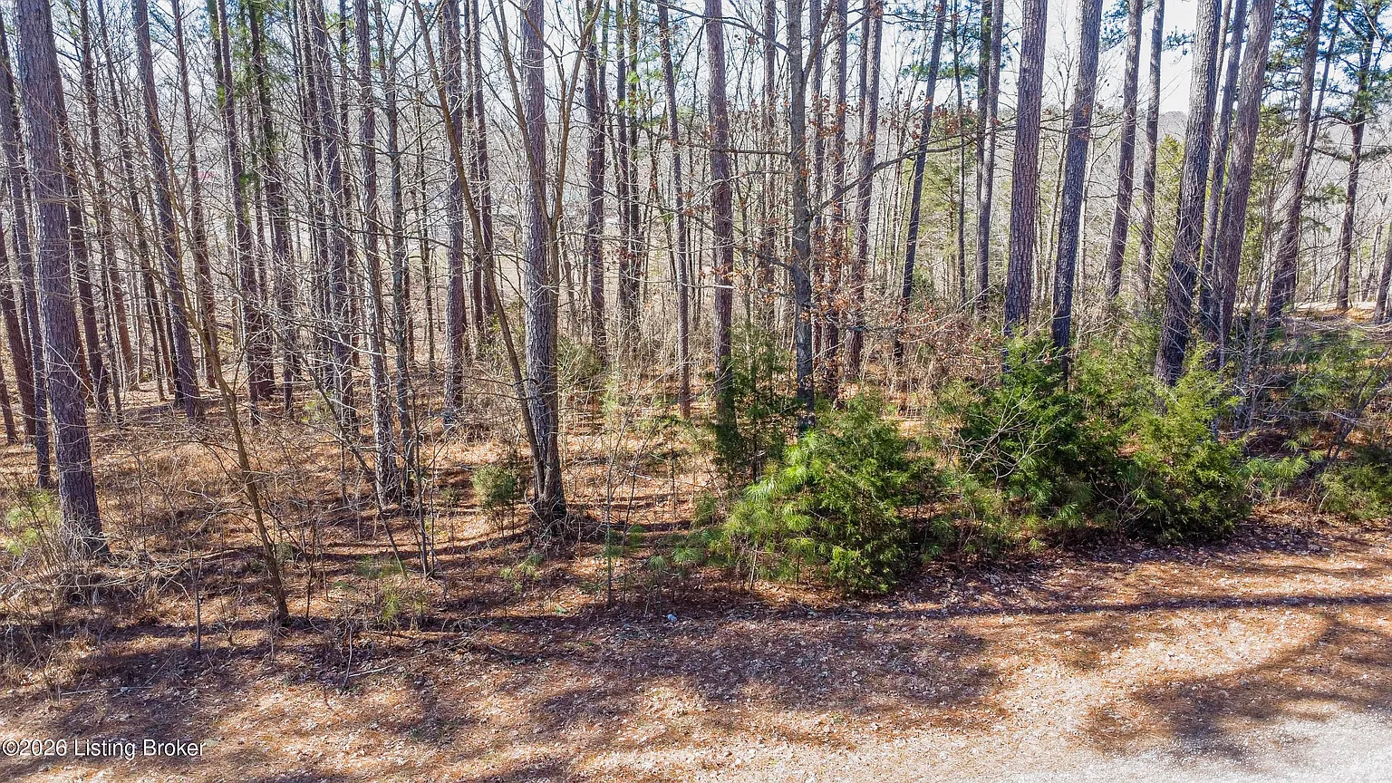 11 Marina Point Ln photo 1