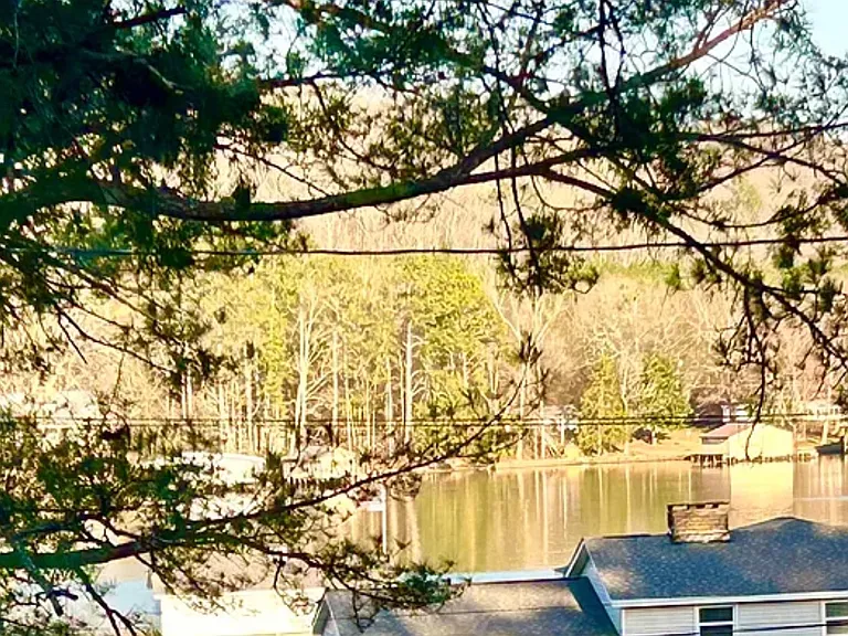 161 Honeycomb Valley Rd — Photo 18