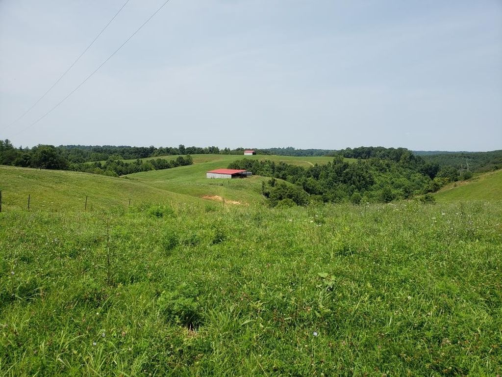 Real estate listing image