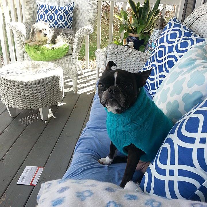 spring on the porch
