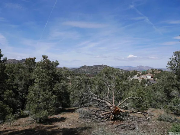 2165 Hermit Rd, Reno, NV 89521