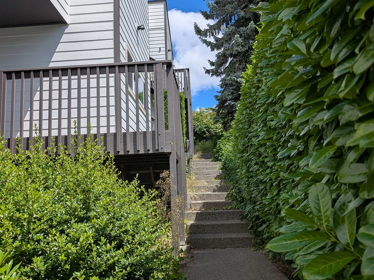 2 bed, 850 sqft, $2,425 — Photo 3