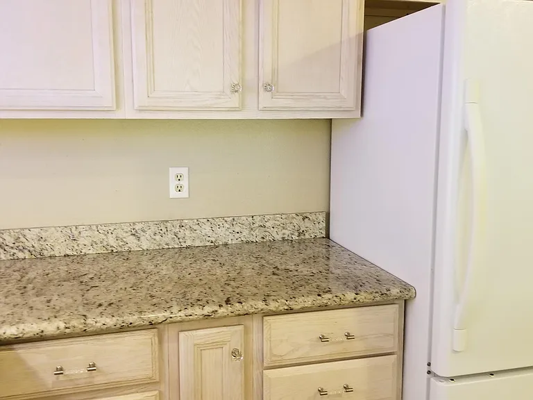Kitchen counter and fridge