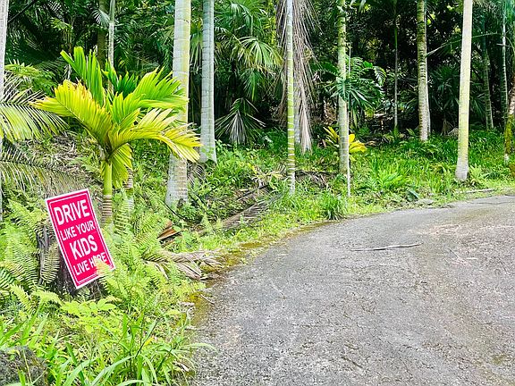 3rd image of 73-4685 Old Mamalahoa Hwy Lot 2B
