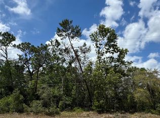 2185 Waterfall Dr LOT 16, Spring Hill, FL 34608