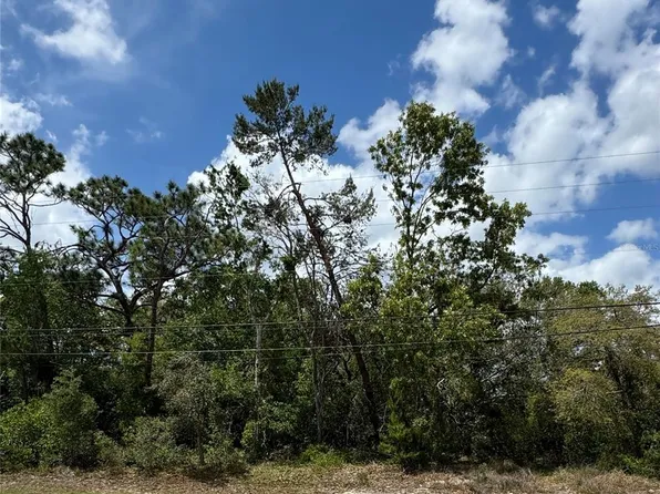 2185 Waterfall Dr Lot 16, Spring Hill, FL 34608