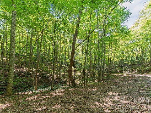 4th image of 80 Breeze Wood Dr