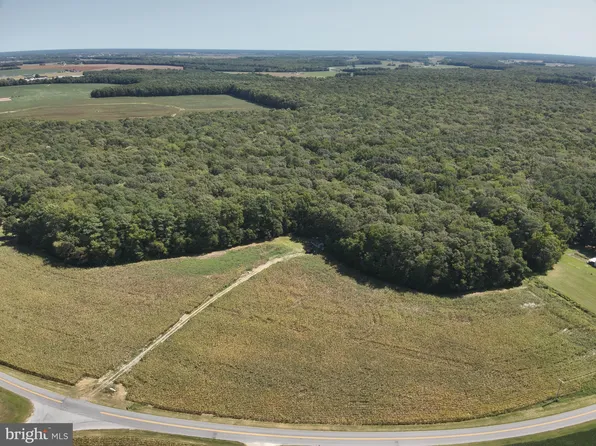 4330 Dublin Hill Rd, Bridgeville, DE 19933