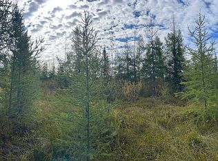 57000-58000 Dora Lake Trl, Northome, MN 56661