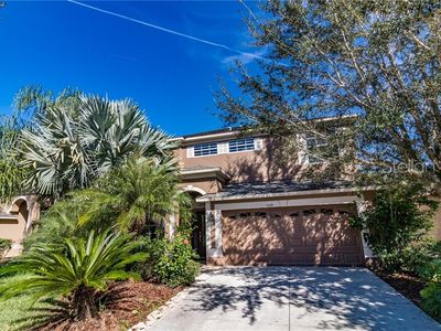 10635 Liberty Bell Dr, Tampa, FL, 33647