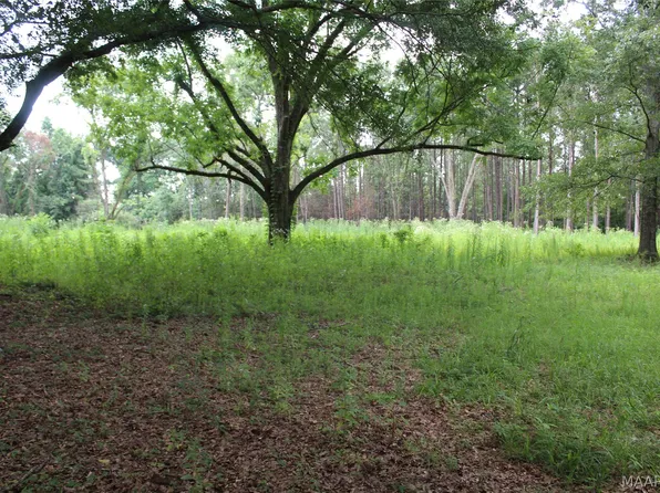 1563 Fort Deposit Rd, Fort Deposit, AL 36032