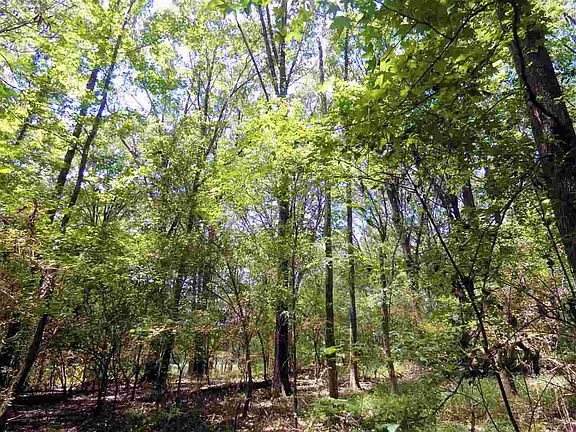 2nd image of 0 Stevens Rd
